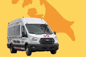 Geschützt: Shuttle Nordinsel